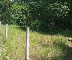 Land For Sale - 1/5