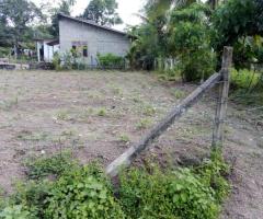 Land For Sale - 2/5