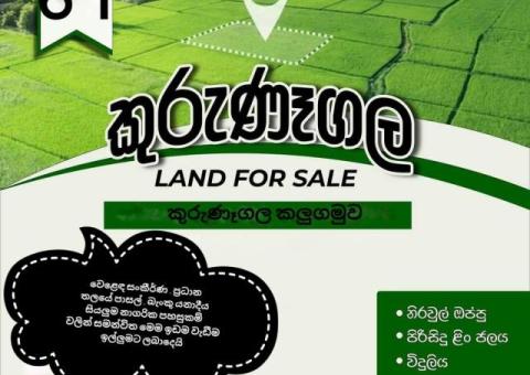 Land For Sale