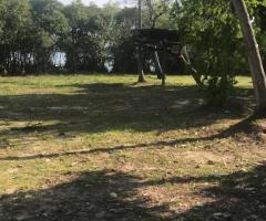 Land For Sale - 1/5