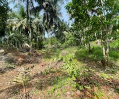 Land For Sale - 3/4