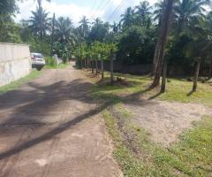 Land For Sale - 2/5