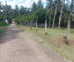 Land For Sale - 3/5