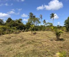 Land For Sale - 5/5