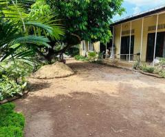 Land With House For Sale - 2/3