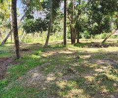 Land For Sale - 2/3