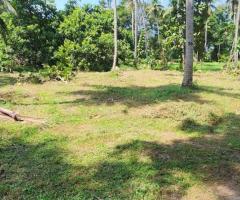 Land For Sale - 3/3