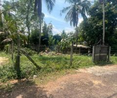 Land For Sale - 4/4