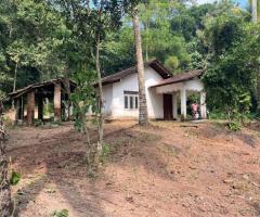 Land With House For Sale - 1/5