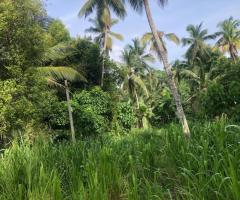 Land For Sale - 1/5