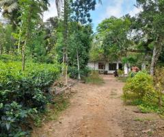 Land With House For Sale