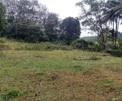 Land For Sale - 2/5