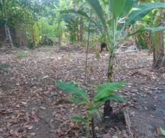 Land For Sale - 3/4