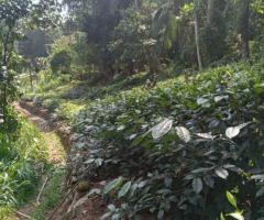 Land For Sale - 3/5
