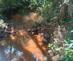 Land For Sale - 4/5