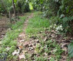 Land For Sale - 3/4