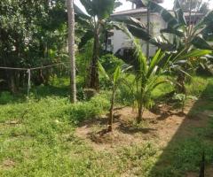 Land For Sale - 2/5