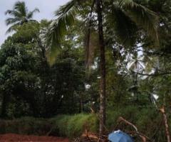Land For Sale - 2/5