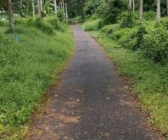 Land For Sale - 3/5
