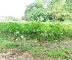 Land For Sale - 1/5