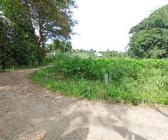 Land For Sale - 4/5