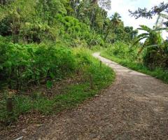 Land For Sale - 5/5