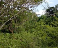 Land For Sale - 3/3