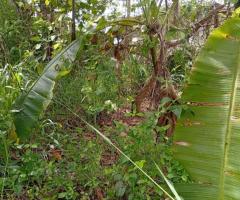 Land For Sale - 3/5