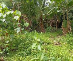 Land For Sale - 4/5