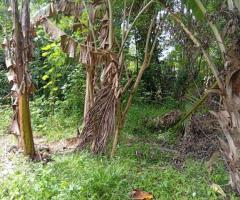 Land For Sale - 5/5