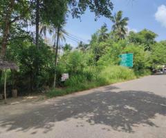 Land For Sale - 2/5