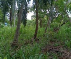 Land For Sale - 5/5