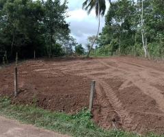 Land For Sale - 1/4