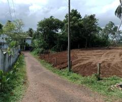 Land For Sale - 2/4