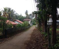 Land For Sale - 1/5