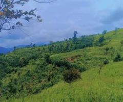 Land For Sale - 4/5