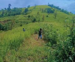 Land For Sale - 5/5