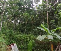 House For Sale - 2/4