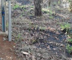 Land For Sale - 2/5