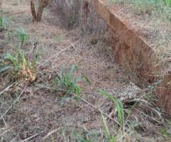 Land For Sale - 4/5