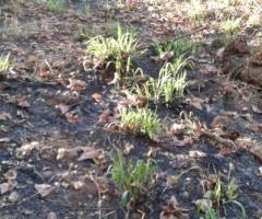 Land For Sale - 5/5