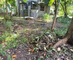 Land For Sale - 1/3