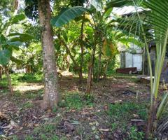 Land For Sale - 2/3