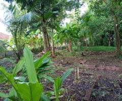 Land For Sale - 3/3