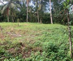 Land For Sale - 2/5