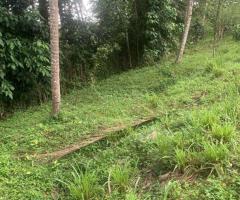 Land For Sale - 5/5