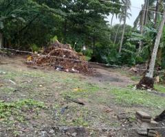 Land For Sale - 3/5