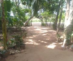 2 House For Sale - 4/5