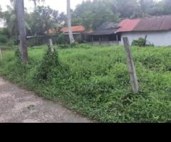 Land For Sale - 5/5