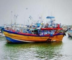 Boat For Sale - 2/2